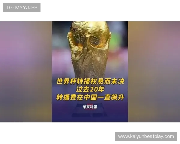 央视不播世界杯谁最亏？FIFA直接崩溃_少41亿转播费 中国企业撤资_4